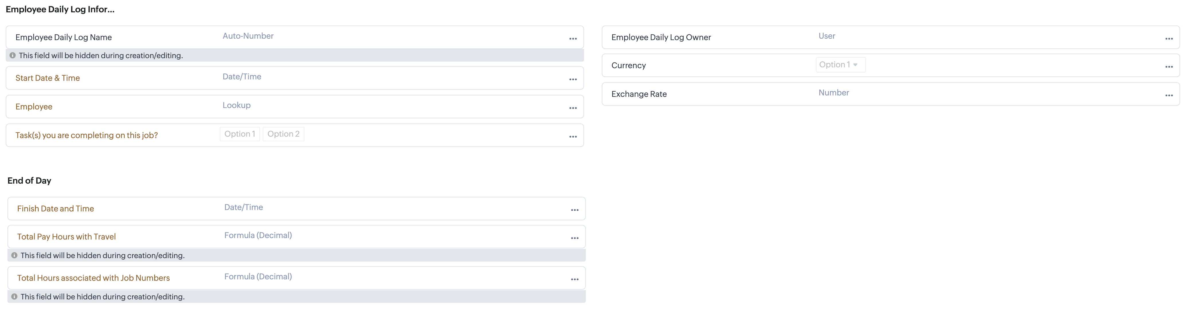 Main fields in Daily log module - Zoho CRM